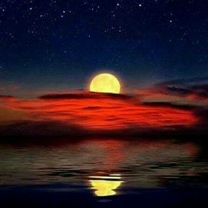 Meet your Posher, Darin